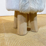 Stool（season38-3）