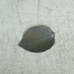 LEAF PLATE　BRASS SOLID / ALUMINIUM / RUST