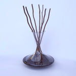 Wine diffuser decanter