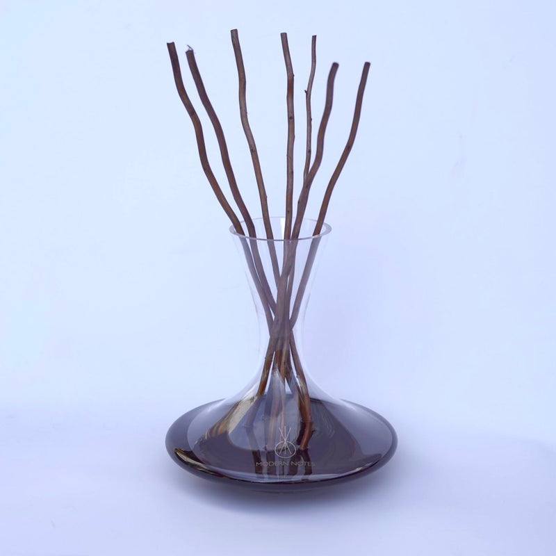 Wine diffuser decanter