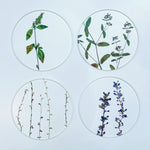 COASTER SET "toumei"
