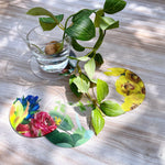 COASTER SET "toumei"