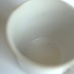 Ancient Pottery mug