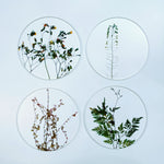 COASTER SET "toumei"
