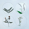 COASTER SET "toumei"