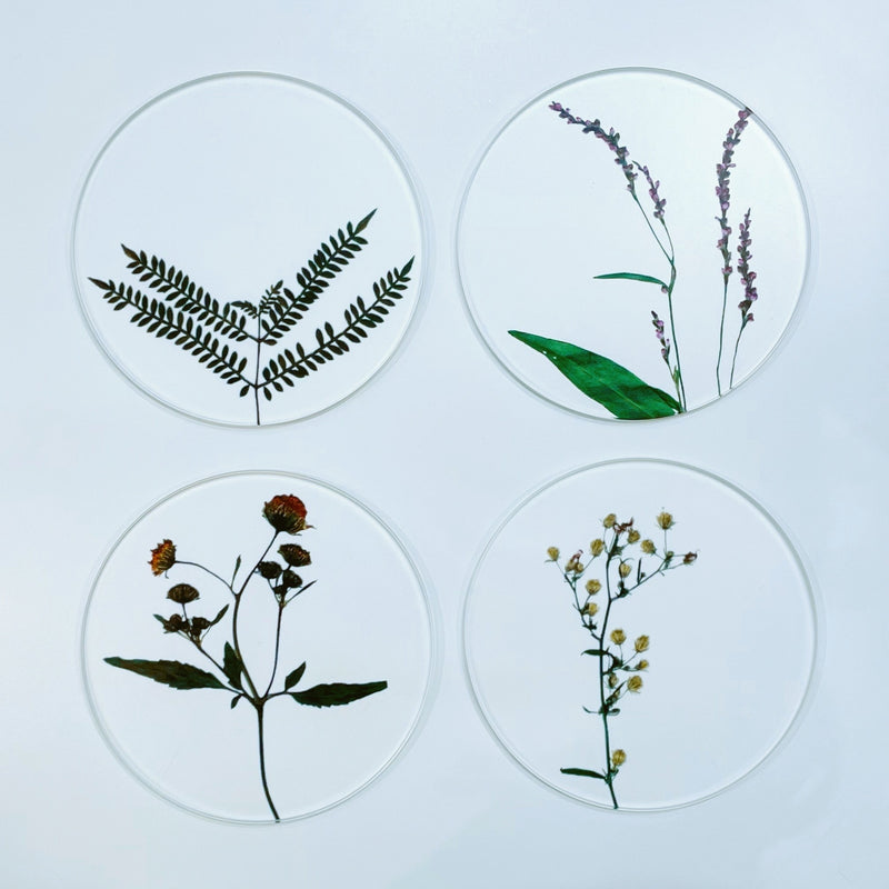 COASTER SET "toumei"