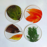 COASTER SET "toumei"